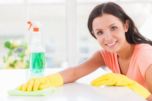Professional sofa cleaning in a Dulwich living room
