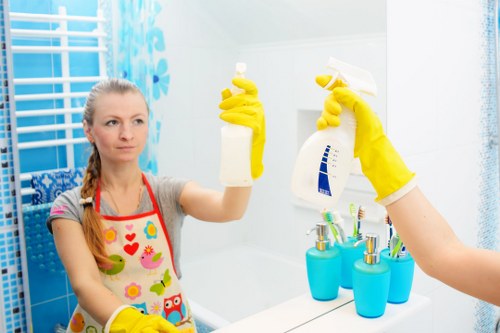 Professional oven cleaning in a Dulwich home kitchen
