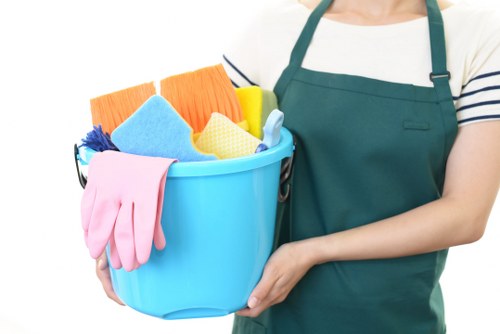 Professional cleaners working in a Dulwich home
