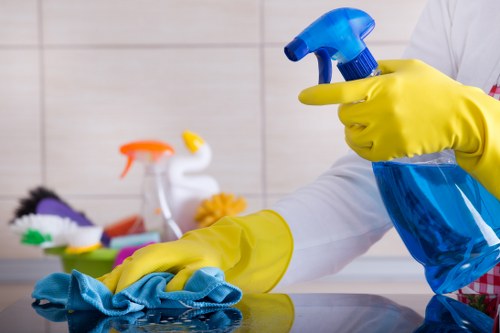Eco-friendly domestic cleaning in Dulwich