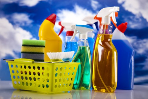 Professional cleaner in Dulwich maintaining a tidy home interior