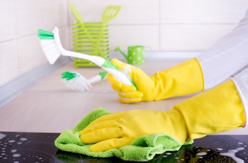 Domestic cleaning service in Dulwich for a spotless kitchen and bathroom