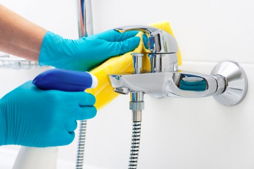 Dulwich cleaning specialist carefully cleaning a bright living room