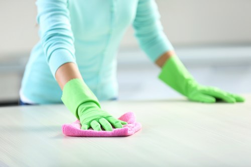 Carpet stain treatment and spot cleaning in a Dulwich property