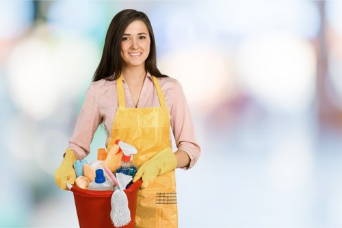 Trusted Dulwich cleaner creating a spotless and welcoming environment