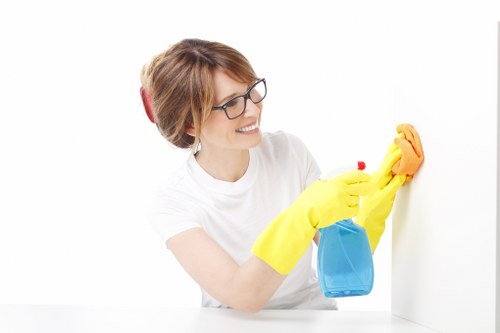 Professional cleaner maintaining a tidy modern office in Dulwich