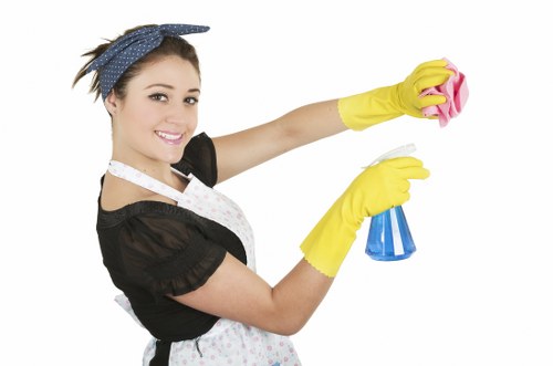 Visual for keyboard-accessible navigation on a local cleaning website